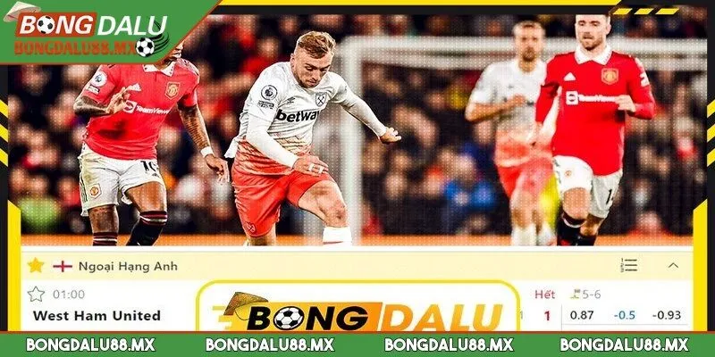 Trang Bongdalu có thiết kế đẹp, dễ thao tác nhất thị trường