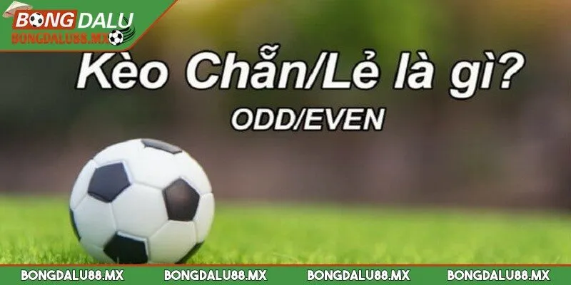 Kèo chẵn lẻ là hình thức đặt cược dựa trên tổng số bàn thắng ghi trong trận