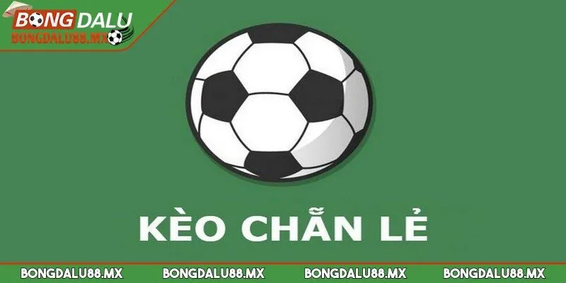Cách chơi Kèo chẵn lẻ hiệu quả từ Bongdalu