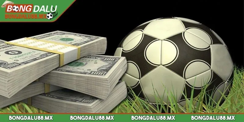 Cách tính Fair Odds trong tỷ lệ kèo châu Âu vô cùng đơn giản