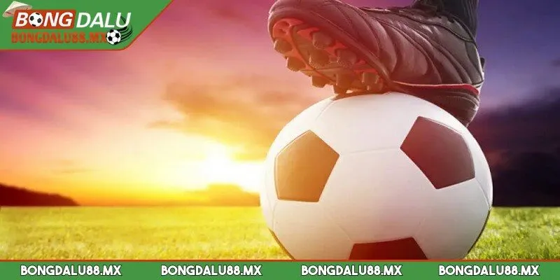 Kèo châu Âu là một trong những loại cược thể thao thú vị nhất