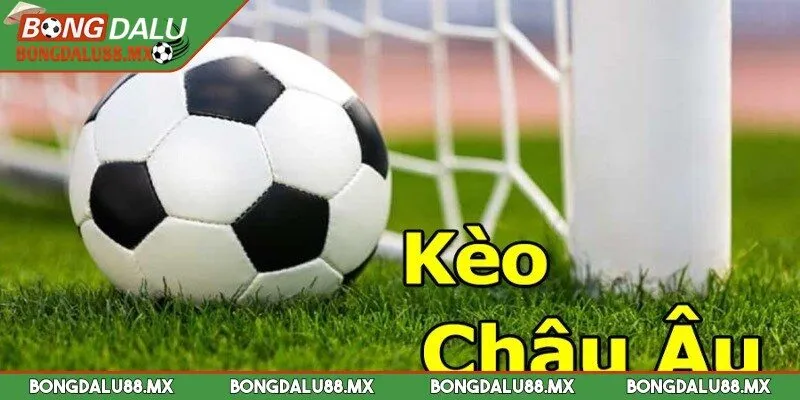 Cược với mức vốn tối thiểu là kinh nghiệm hàng đầu hiện nay