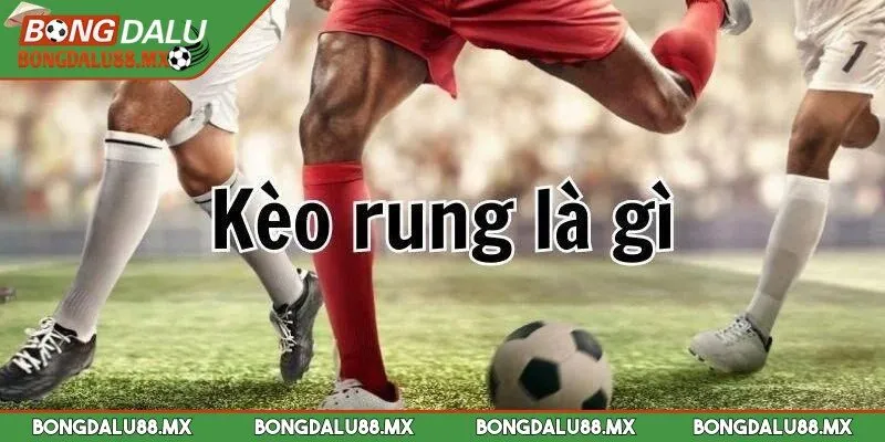 Việc hiểu rõ cách tính tiền trong kèo rung rất quan trọng