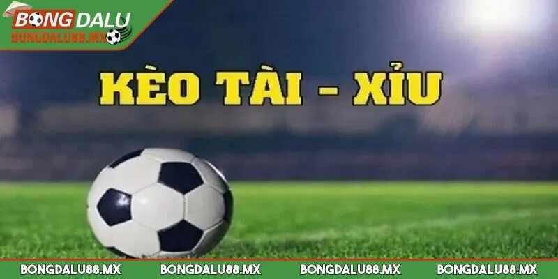Kèo Tài Xỉu là một hình thức giải trí thú vị, được ưa chuộng
