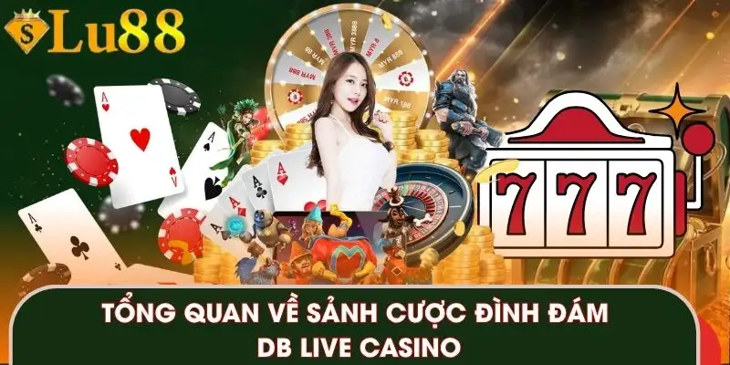 db-live-casino-tong-quan