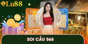 soi-cau-568